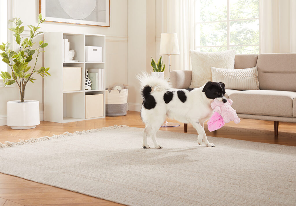 blanket buddies dog toy