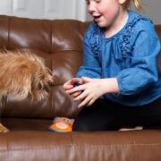 dog and child playing on couch