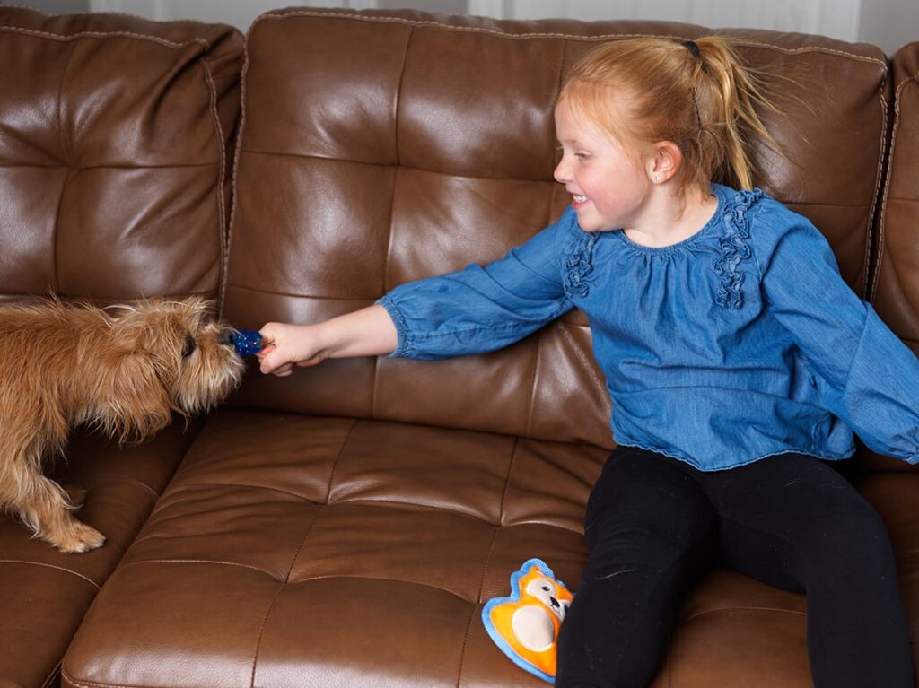 dogs and children