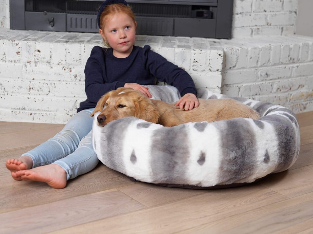 dog in dog bed