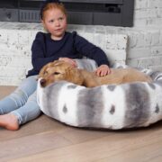 dog in dog bed. how much do puppies sleep
