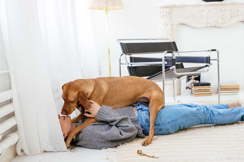 dog laying on human