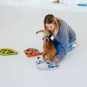 cat and food puzzles. how do you know your cat loves you?