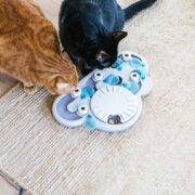 cat food puzzle