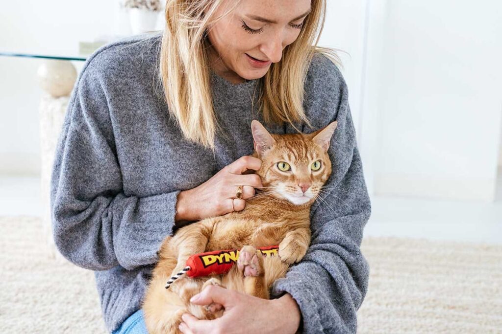 how to find a pet sitter