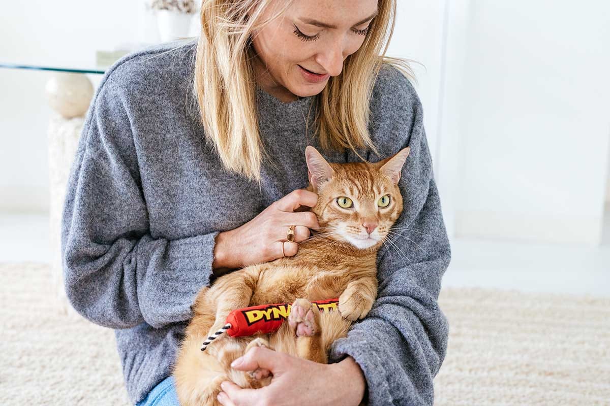How to Find a Pet Sitter When You Need a Vacay