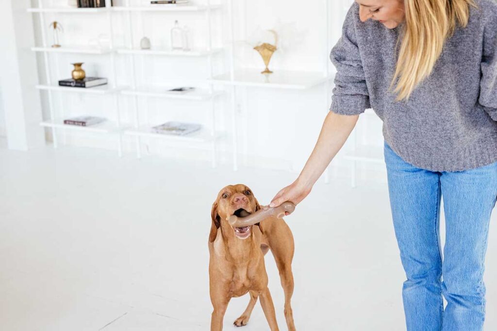 dog dental chew toy