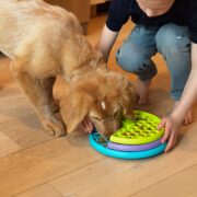 lickin layers dog puzzle. quiet dog toys