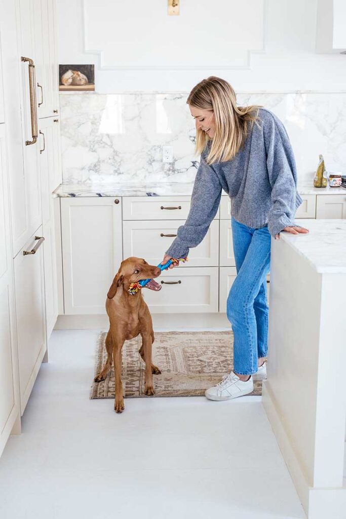 dog getting a treat