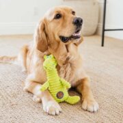 squeakin squiggles dog toy