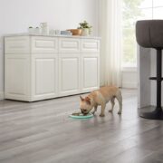 what to feed a dog with pancreatitis
