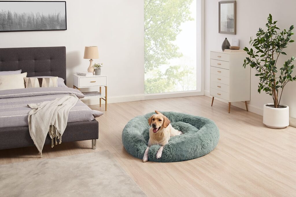 dog on a large donut bed