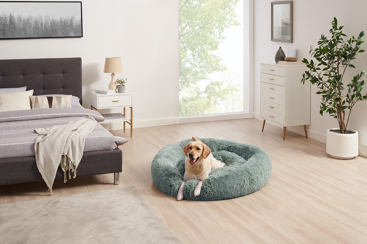 Score These Sweet Pet Deals During Chewy’s Sale Event July 12-13