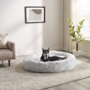 therapeutic dog bed