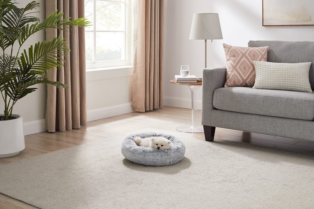 dog in round bed