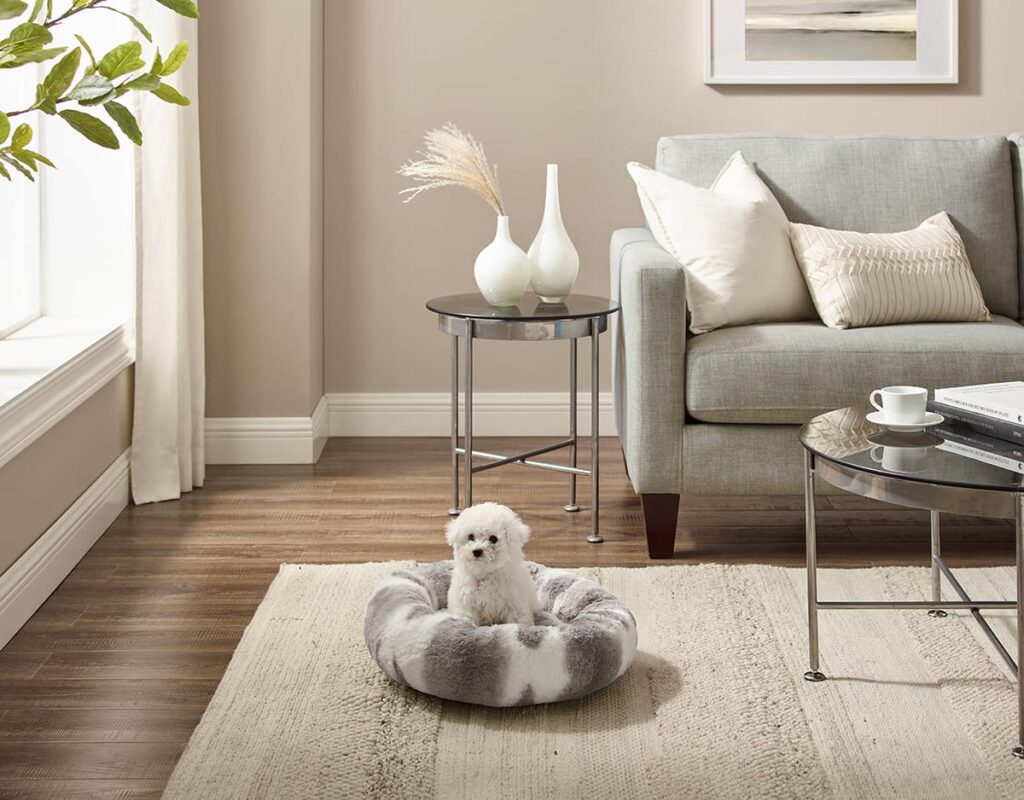 dog in pet bed