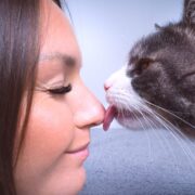 why does my cat lick me