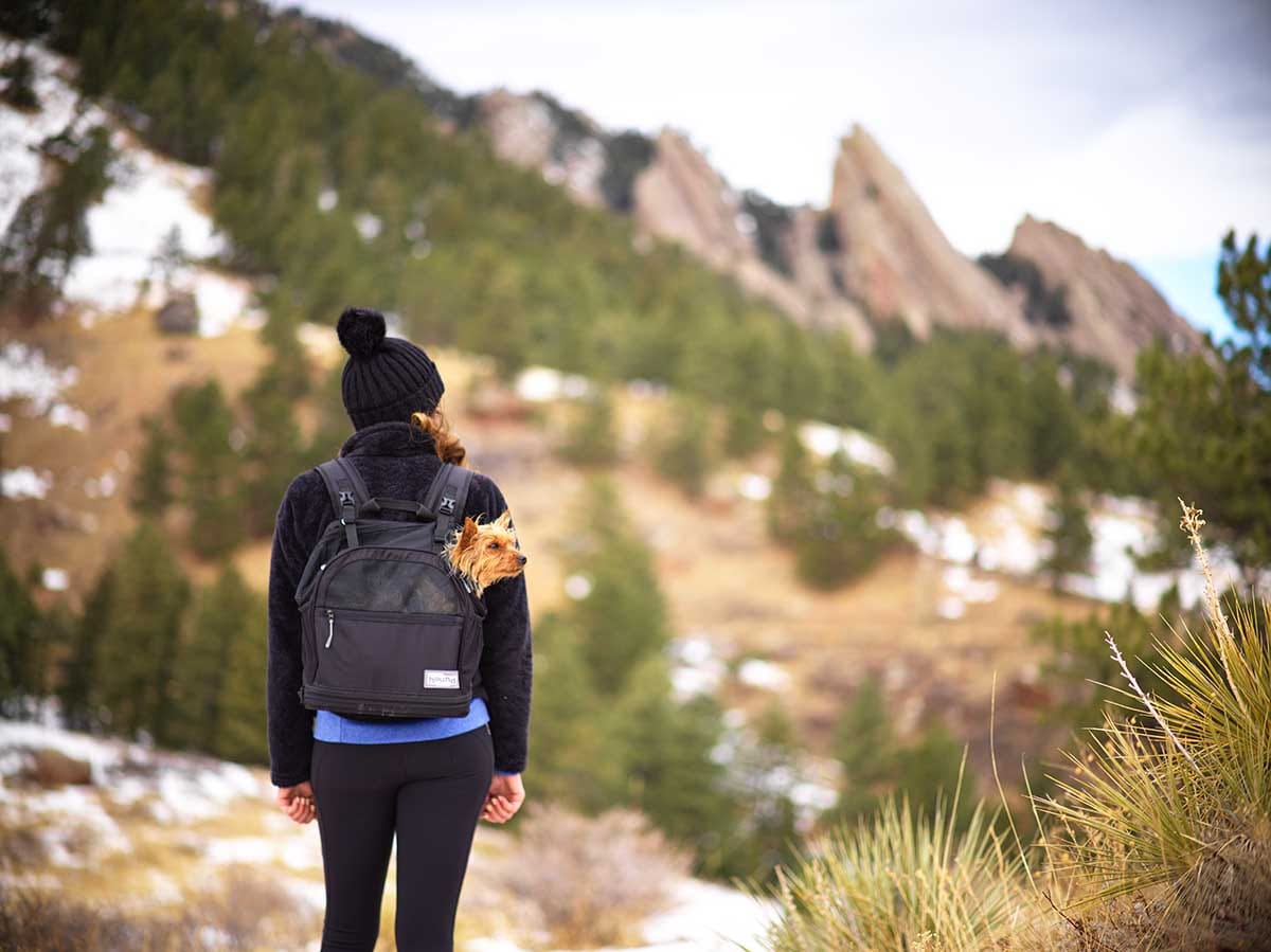 The Surprising Versatility of the Doggy Backpack