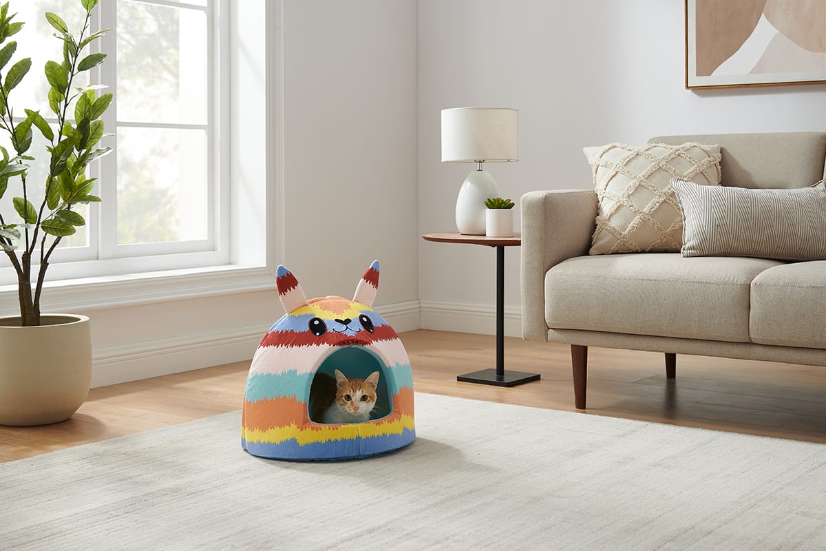 How to Acclimate a Cat to a New Home