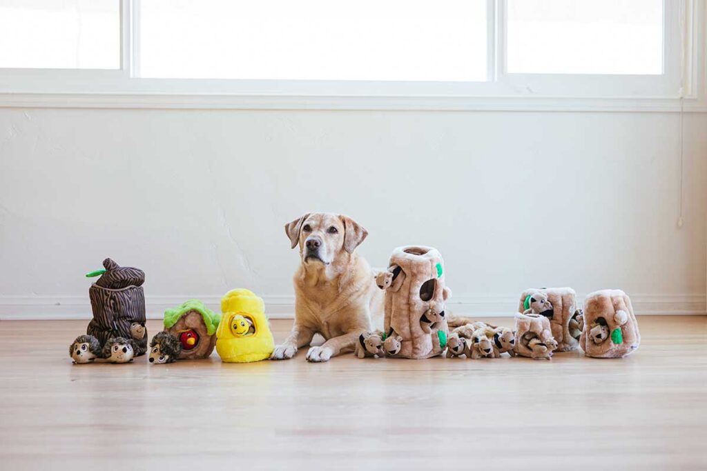 best toys for big dogs