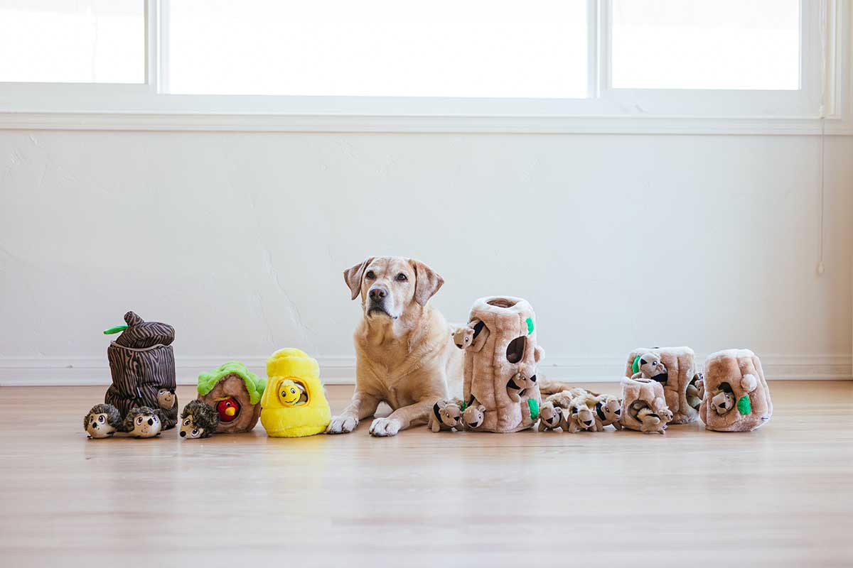7 of the Best Toys for Big Dogs