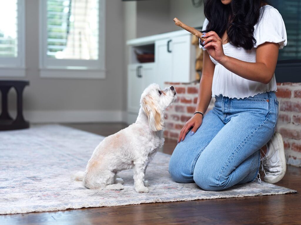 woman and dog in living room