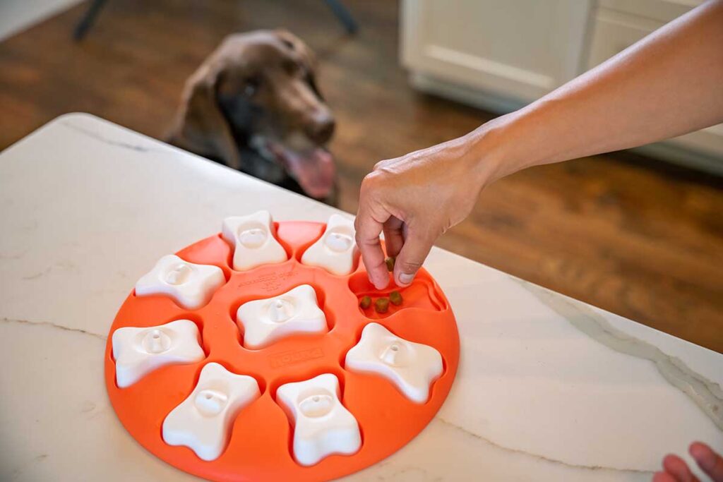 unique dog gifts