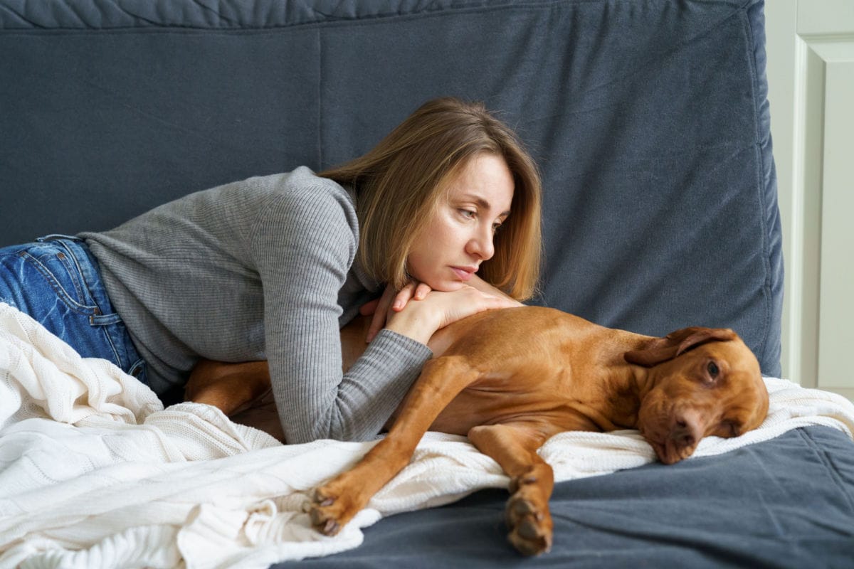 Do You Need Help With Your Dog?