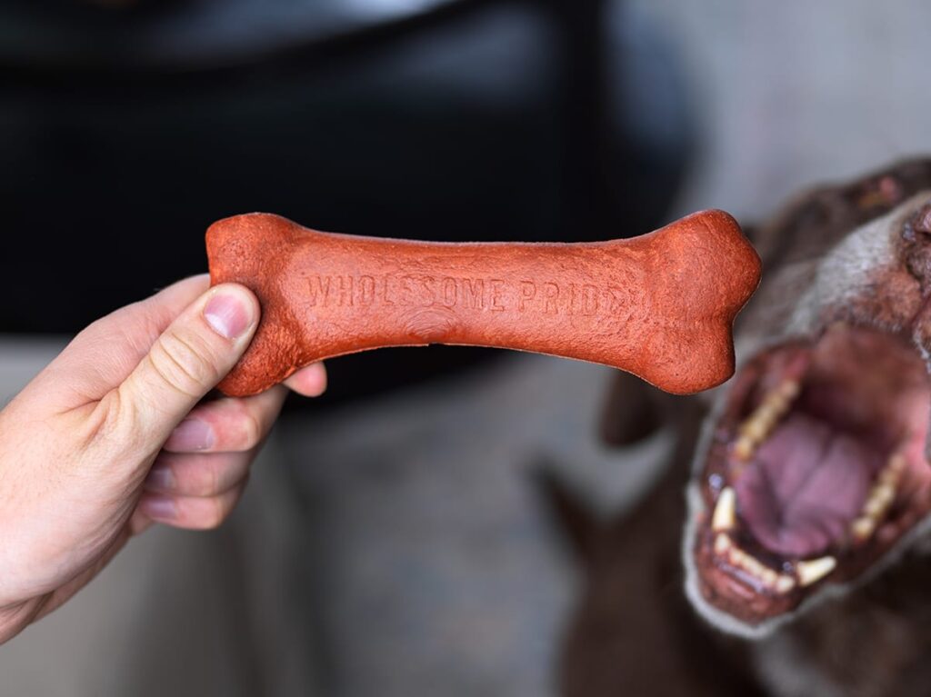 dog with bone