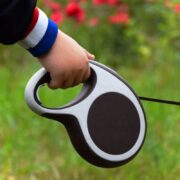 why are retractable leashes bad