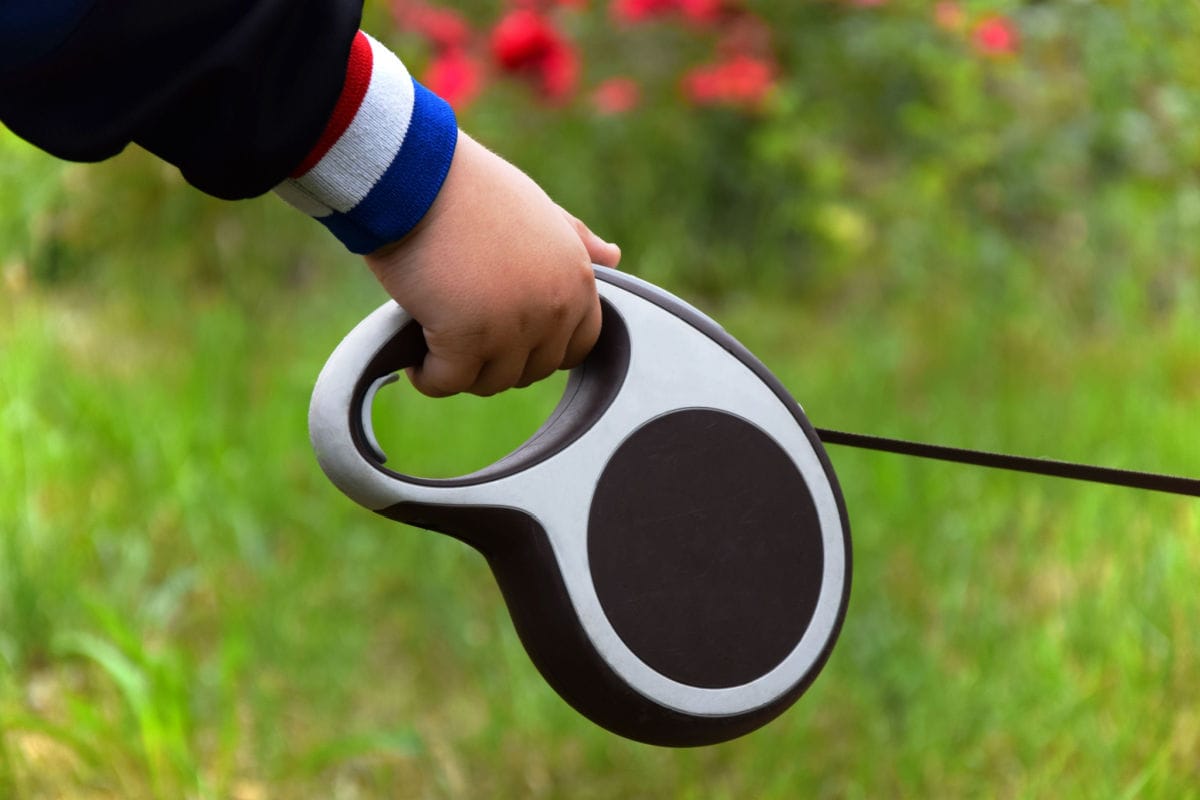 Are Retractable Leashes Bad? Let Us Count the Ways …