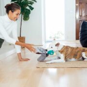 crinkle toys for dogs