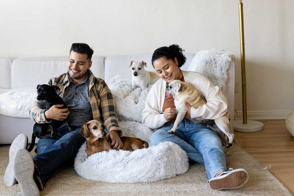 dog with family