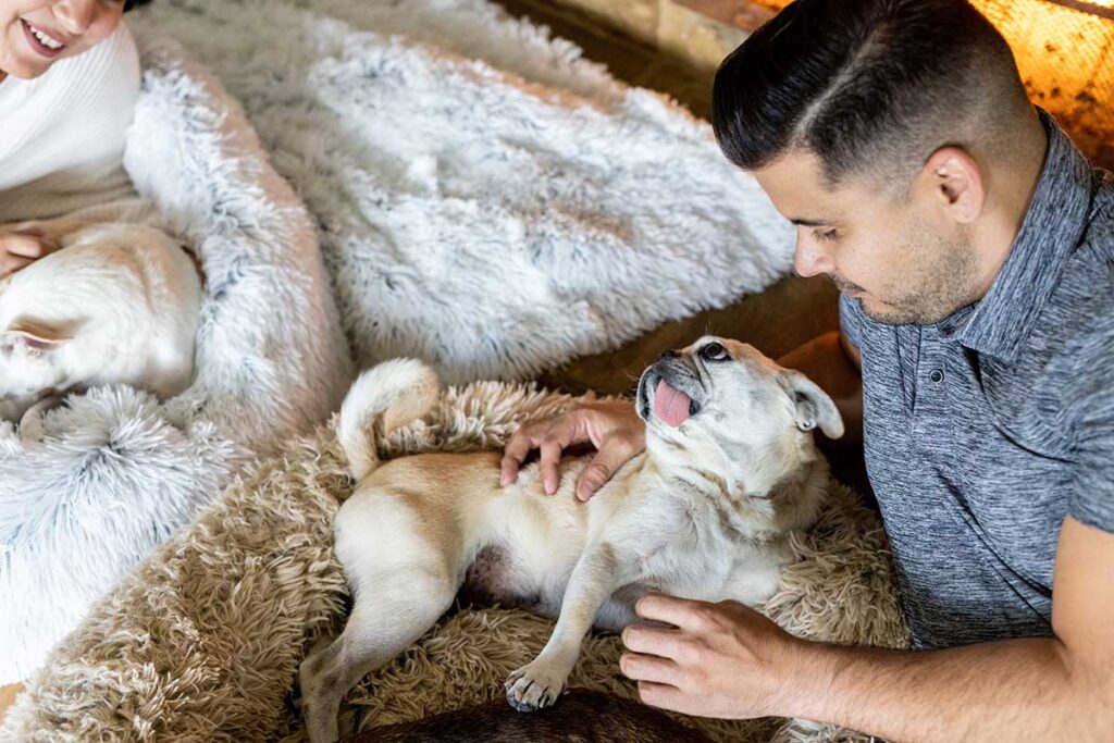 derpy dog with its human