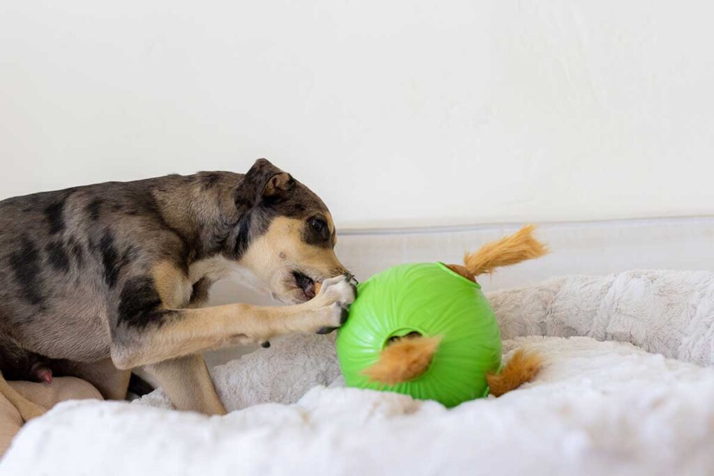 snuffle ball