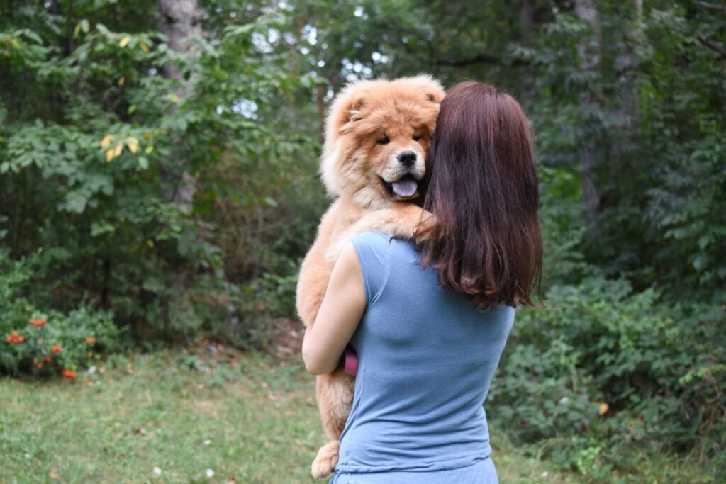 toys for chow chows