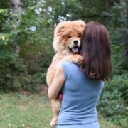 toys for chow chows