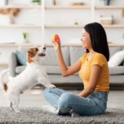 how to teach a dog to drop it