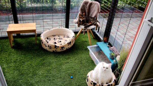 diy catio