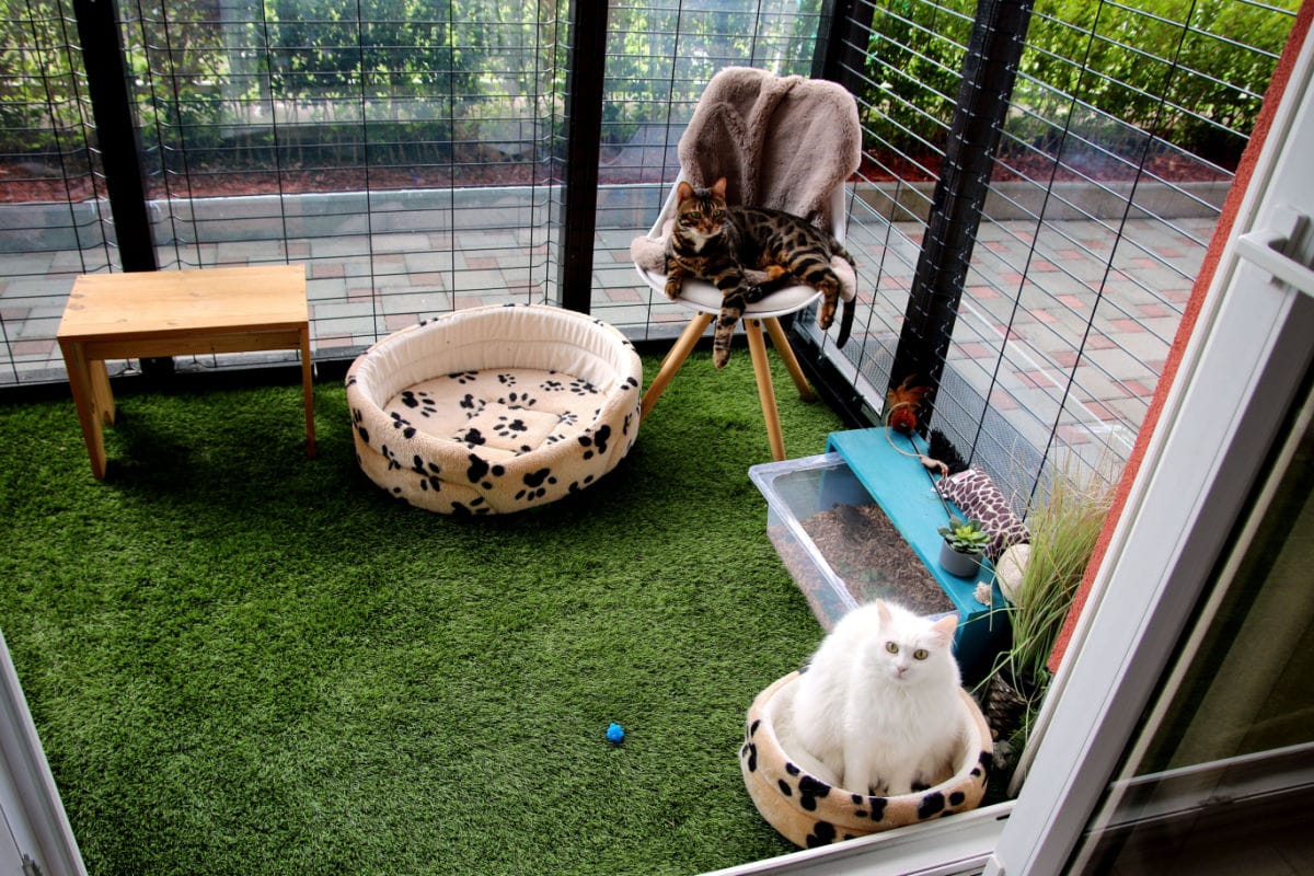 Spoil Your Cat: Make Them a DIY Catio