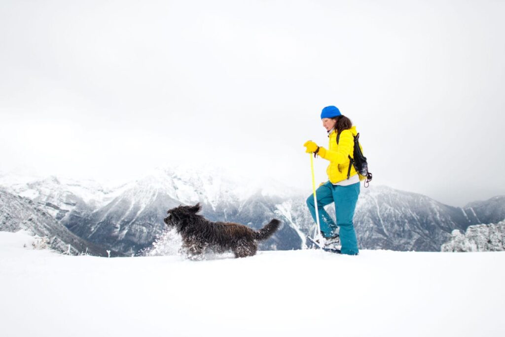 dog snowshoing